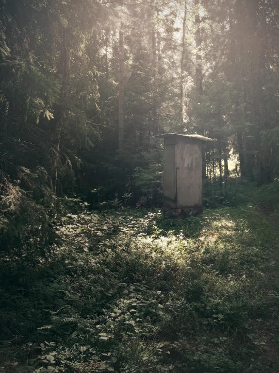 En gammal rök mitt i skogen.