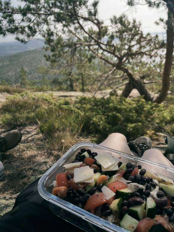 Lunch i skuggan på toppen av Skuleberget.