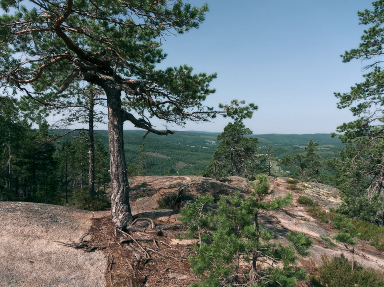 Utsikten från skuleberget halvägs upp.