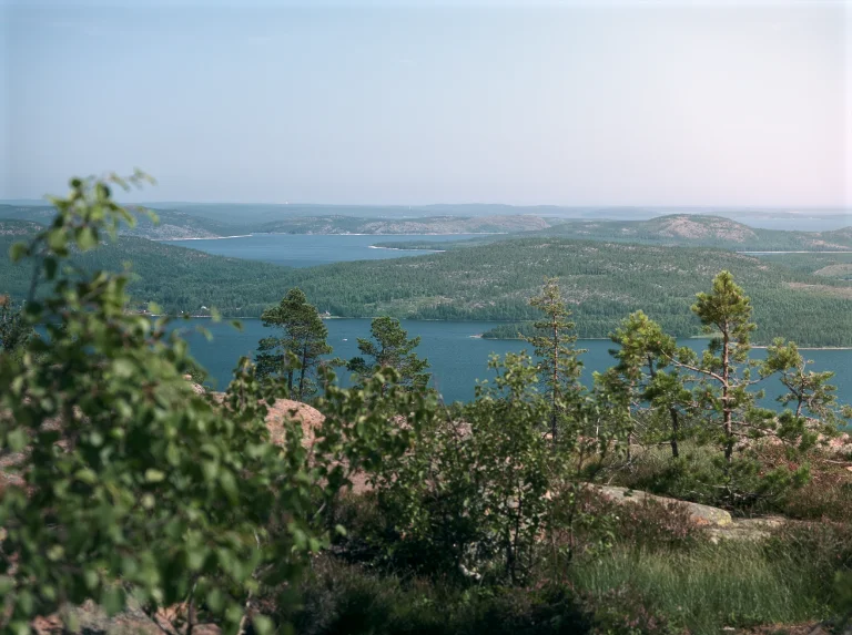 Utsikten från toppen av Slåttdalsberget.