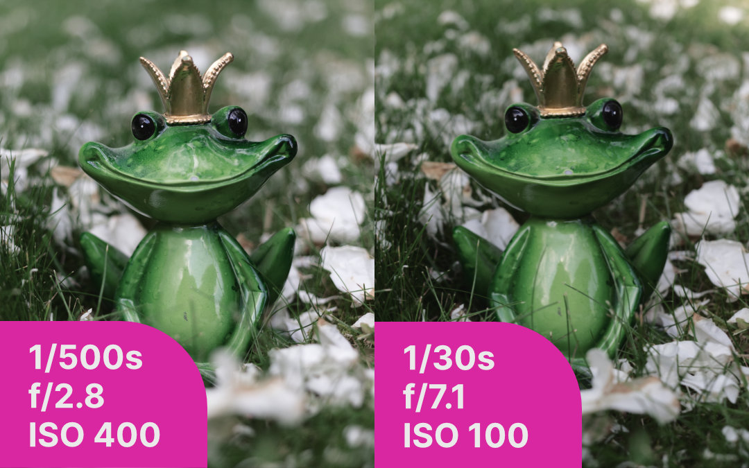 Två exempel på en grön porslinsgroda som står i gräset.