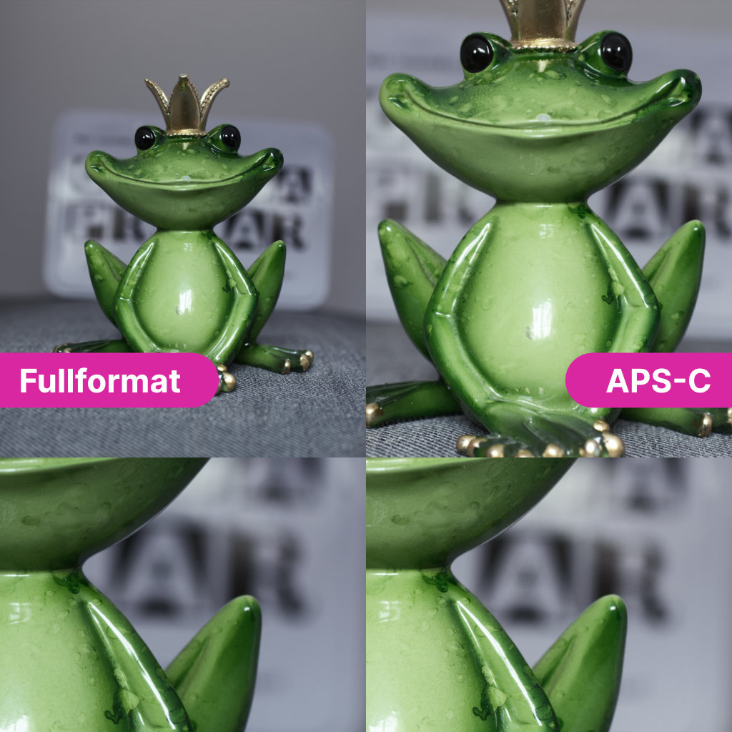 Två exempel på en grön porslinsgroda som fyller upp olika mycket av bilden.