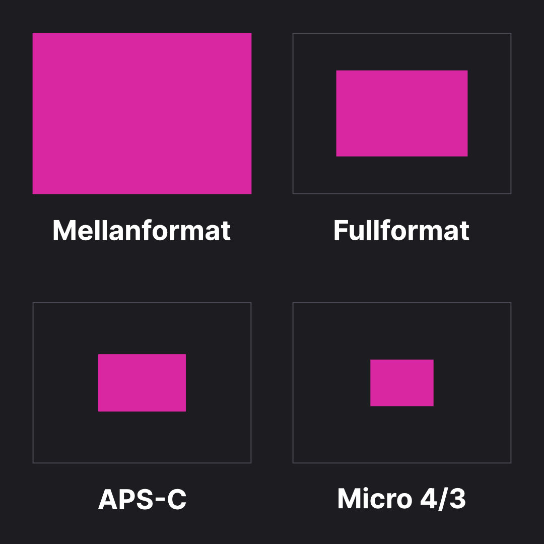 Jämförelse av fyra olika sensorstorlekar; Mellanformat, fullformat, APS-C och Micro 4/3.