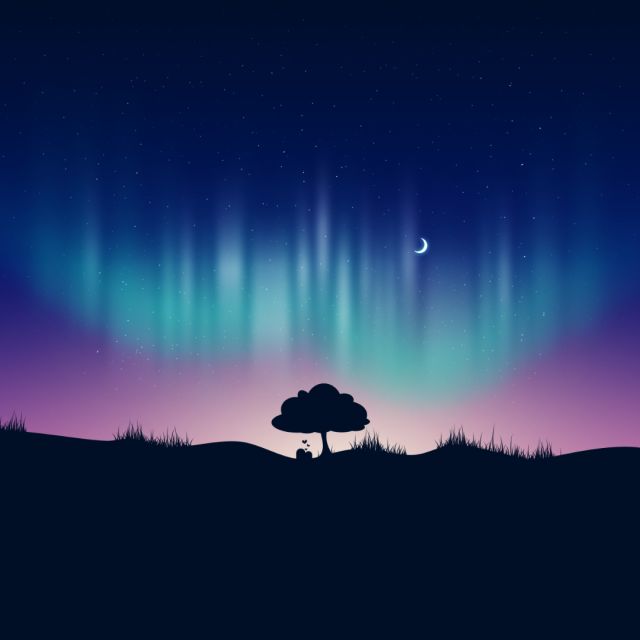 Norrsken över en en en kulle med ett träd i mitten