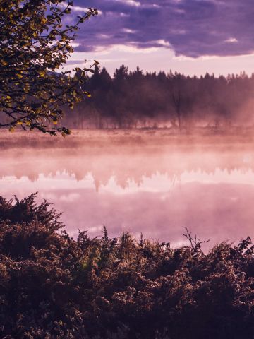 Dimmig soluppgång vid en sjö.