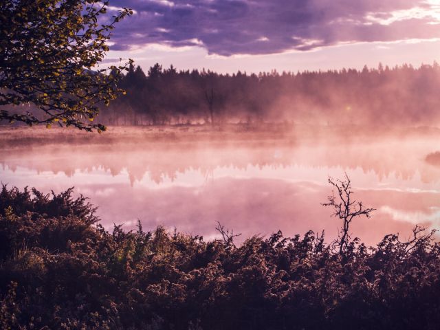 Dimmig soluppgång vid en sjö.