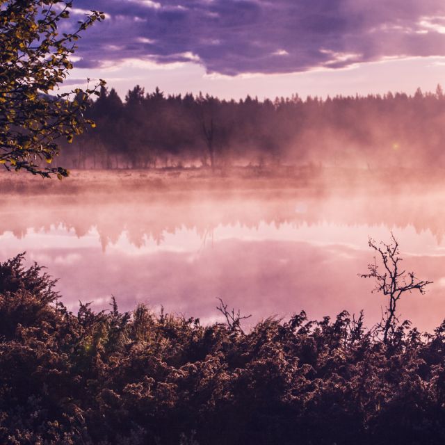 Dimmig soluppgång vid en sjö.