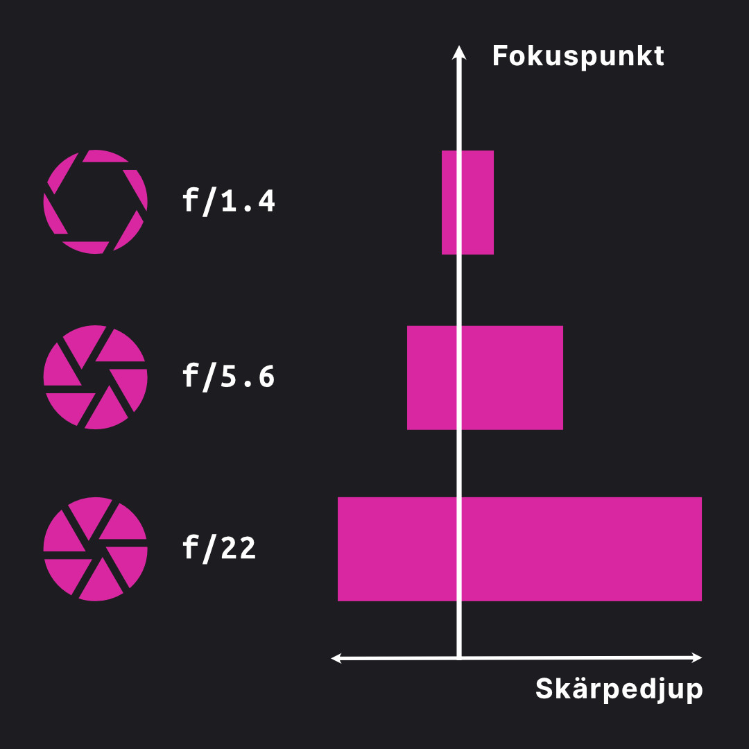 Tre olika bländarvärden påverkar skärpedjupets fokusområde.